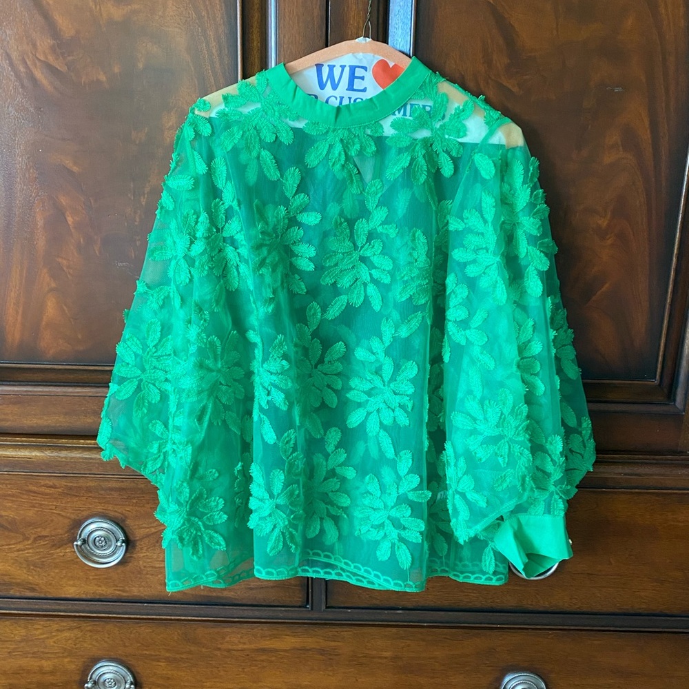 Trending sheer party blouse!! Elegant New Green Lace Women's Fancy Blouse